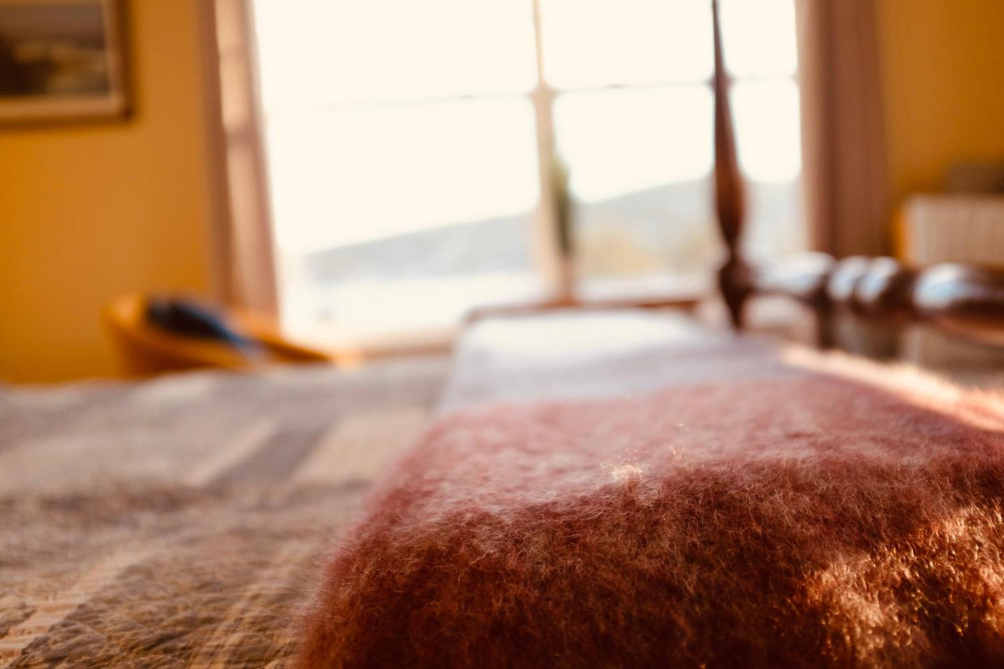 The Bread And Cheese Country Inn Bay Bulls 외부 사진